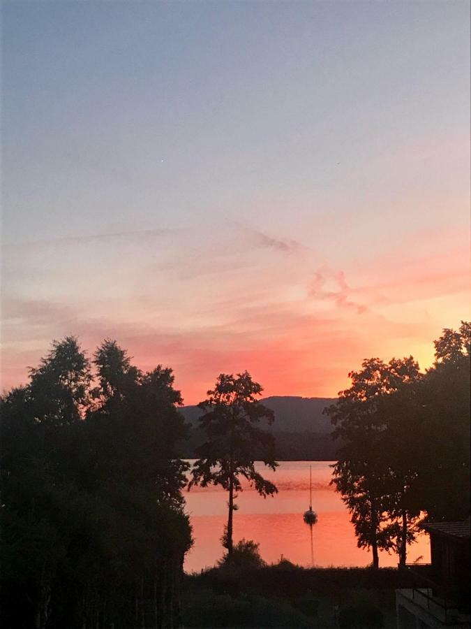 Chata Dandelion Černá v Pošumaví Exterior foto